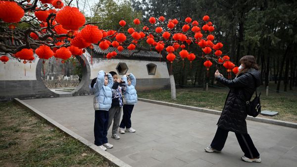 Red lanterns on a tree in a park in Beijing during preparations for the New Year celebration  - Sputnik International