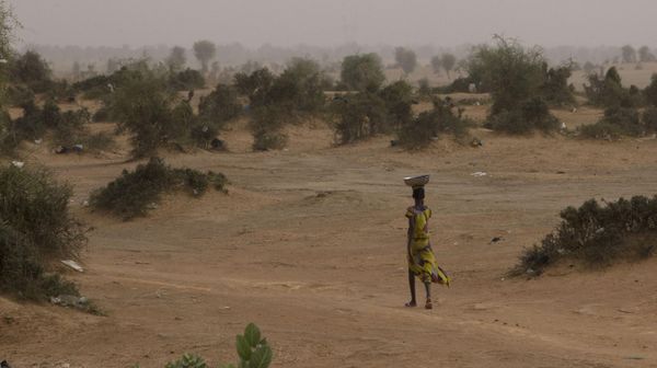 In this Monday, April 30, 2012 photo, a girl follows a village path through a landscape dotted with thorny scrub brush, in the Matam region of northeastern Senegal.  - Sputnik International