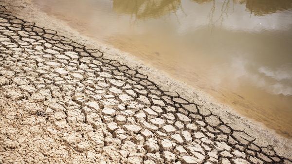A dried out bank of a nearly water empty dam is pictured on a farm in Piket Bo-berg, Piketberg, north of Cape Town, on March 7, 2018 as  a result of a three-year-long drought - Sputnik International