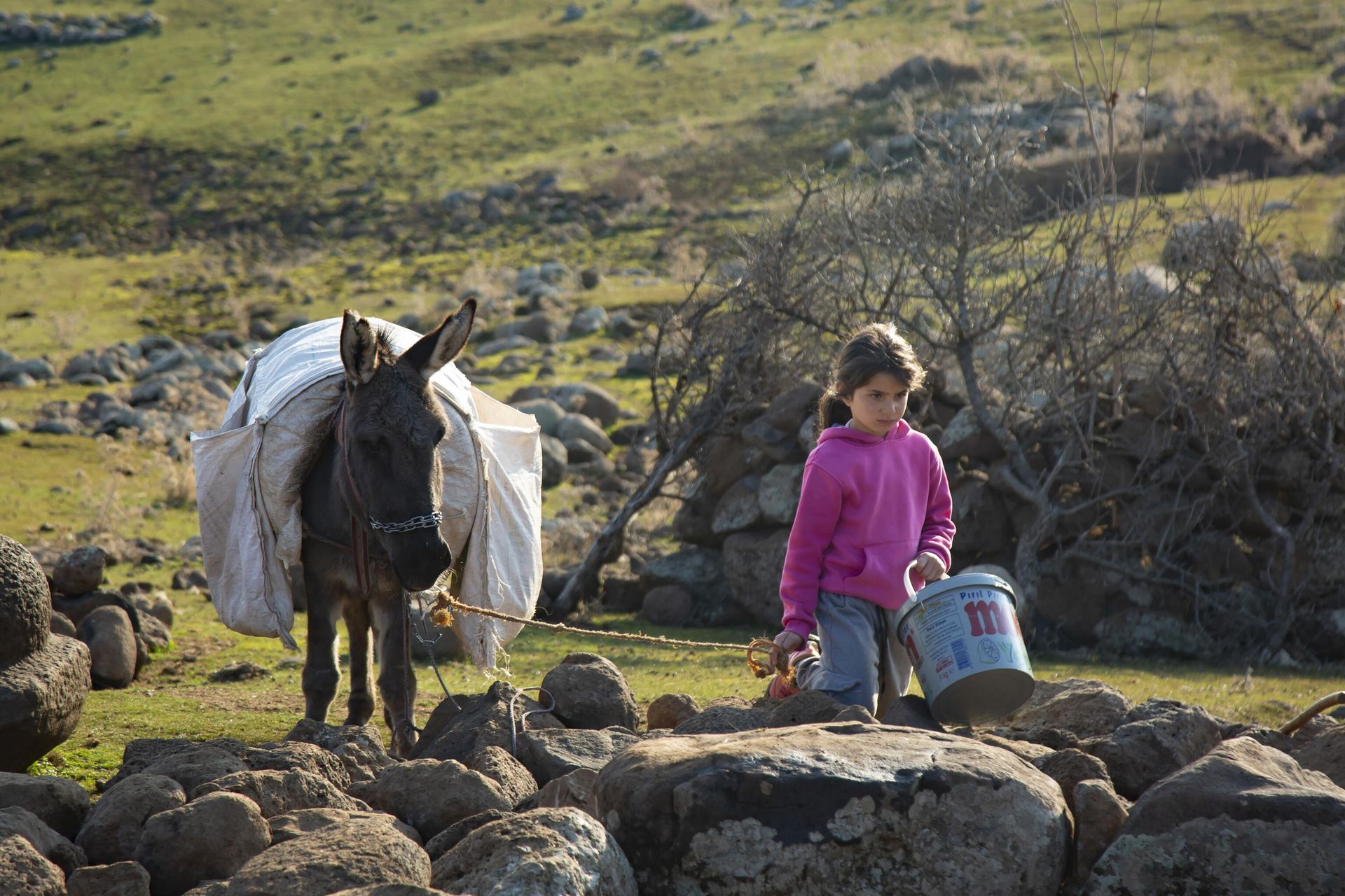 Only regular source of water for the villagers is a well 2 km away from the village, they have take water home in buckets on donkeys. Only regular source of water for the villagers is a well 2 km away from the village, they have take water home in buckets on donkeys. - Sputnik International, 1920, 25.01.2023