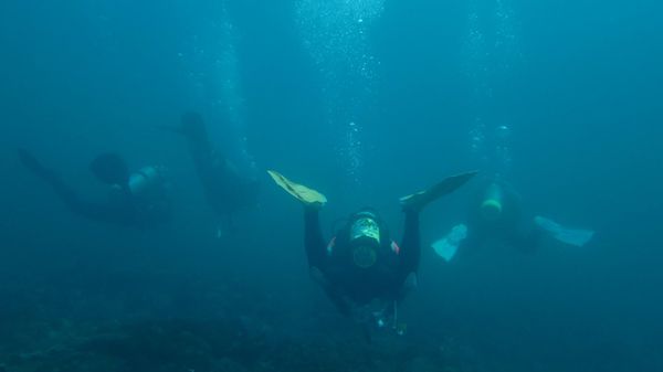Dive - Sputnik International
