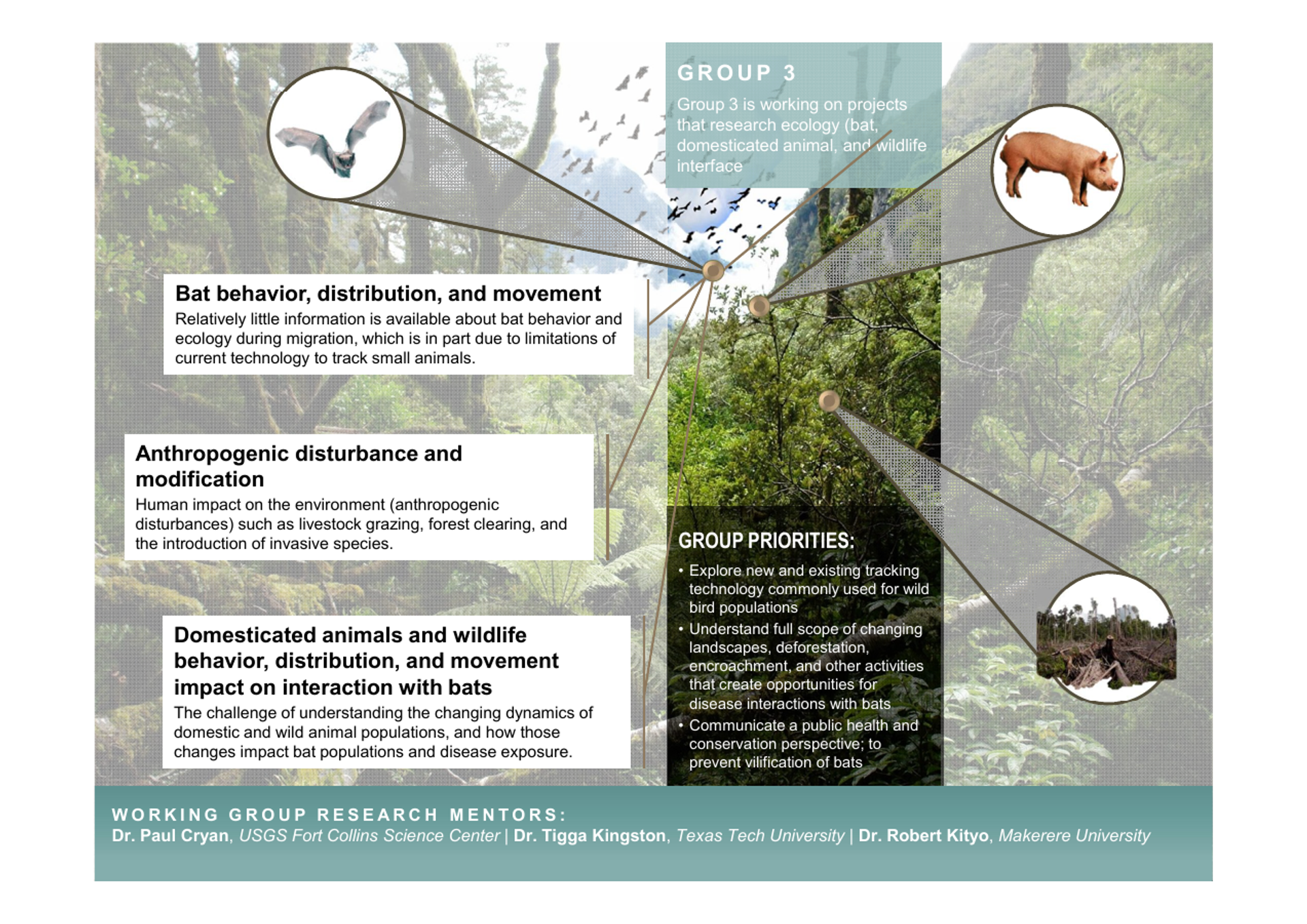 Image from 2018 slide presentation by the Western Asia Bat Research Network - an association partnering with the NIH and other US institutions and engaging in bat coronavirus research. Image from 2018 slide presentation by the Western Asia Bat Research Network - an association partnering with the NIH and other US institutions and engaging in bat coronavirus research. - Sputnik International, 1920, 30.01.2023