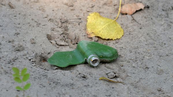 The PMF-1 Lepestok (Petal) antipersonnel pressure-type landmine - Sputnik International