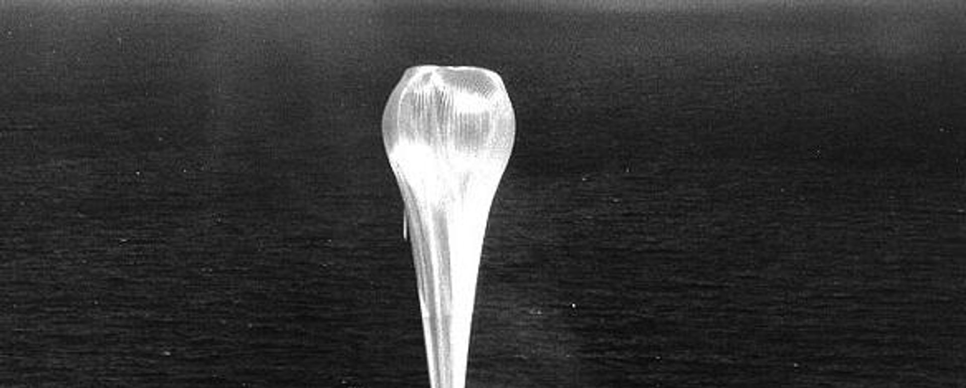 A spy balloon from Project Genetrix is launched from the aircraft carrier USS Valley Forge, 1956 A spy balloon from Project Genetrix is launched from the aircraft carrier USS Valley Forge, 1956 - Sputnik International, 1920, 09.02.2023