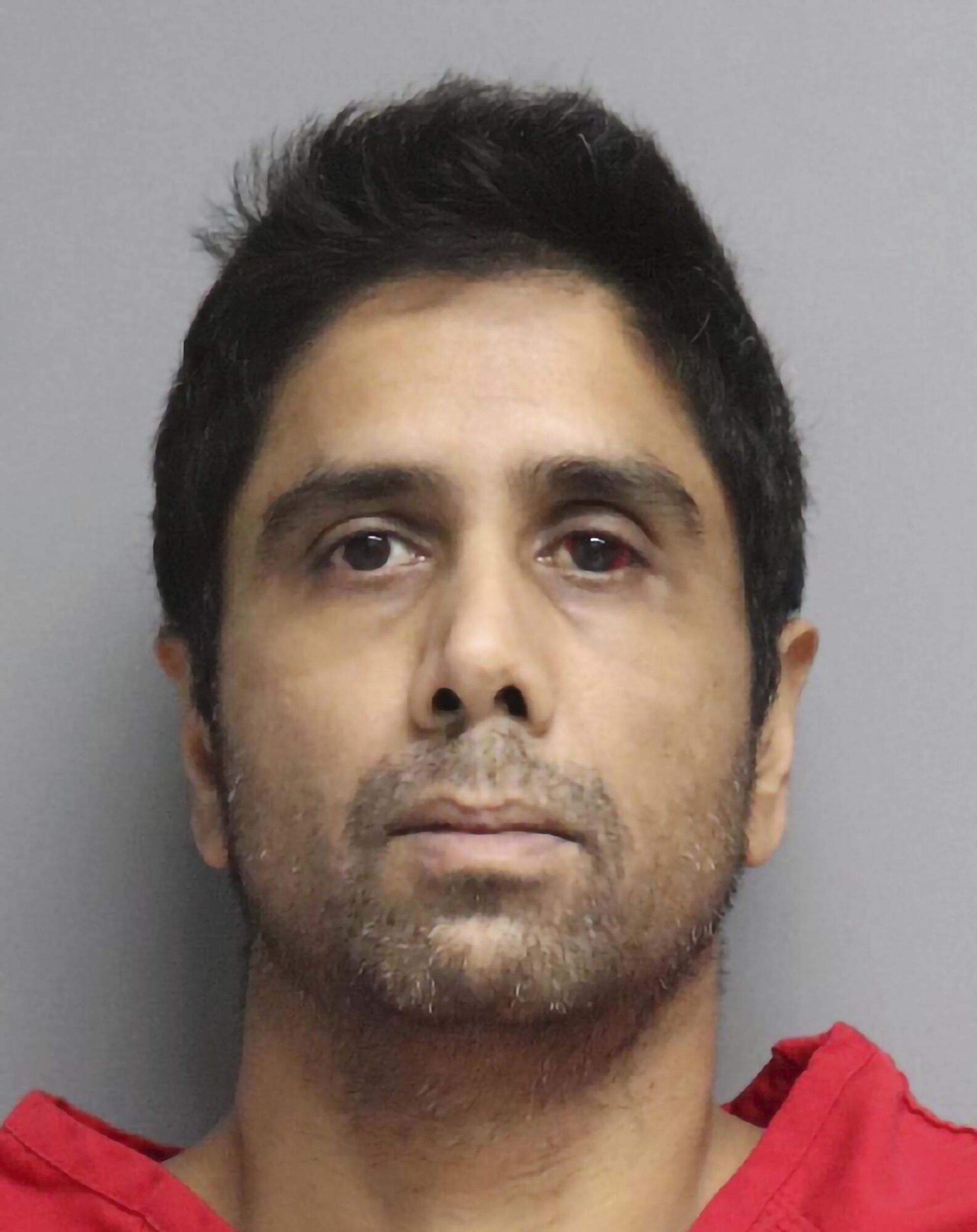 FILE - This undated photo provided by the San Mateo County Sheriff's Office shows Dharmesh Patel. The Tesla driver accused of trying to kill his wife and two young children by driving off a Northern California cliff has pleaded not guilty to attempted murder and domestic violence. A judge ordered Patel held without bail at a hearing Thursday, Feb. 9, 2023. (San Mateo County Sheriff's Office via AP, File) - Sputnik International, 1920, 14.02.2023