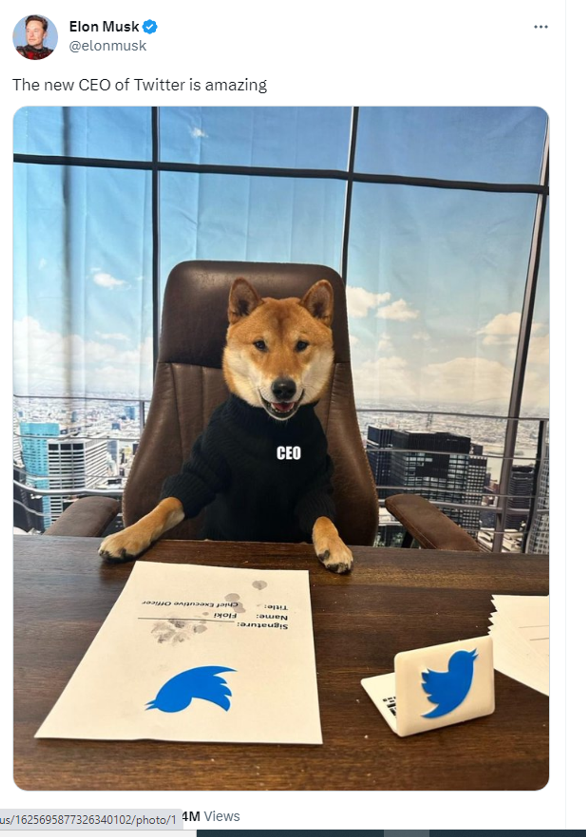 Twitter account of Elon Musk showing photo of his dog, Floki, a Shiba Inu. Twitter account of Elon Musk showing photo of his dog, Floki, a Shiba Inu. - Sputnik International, 1920, 15.02.2023