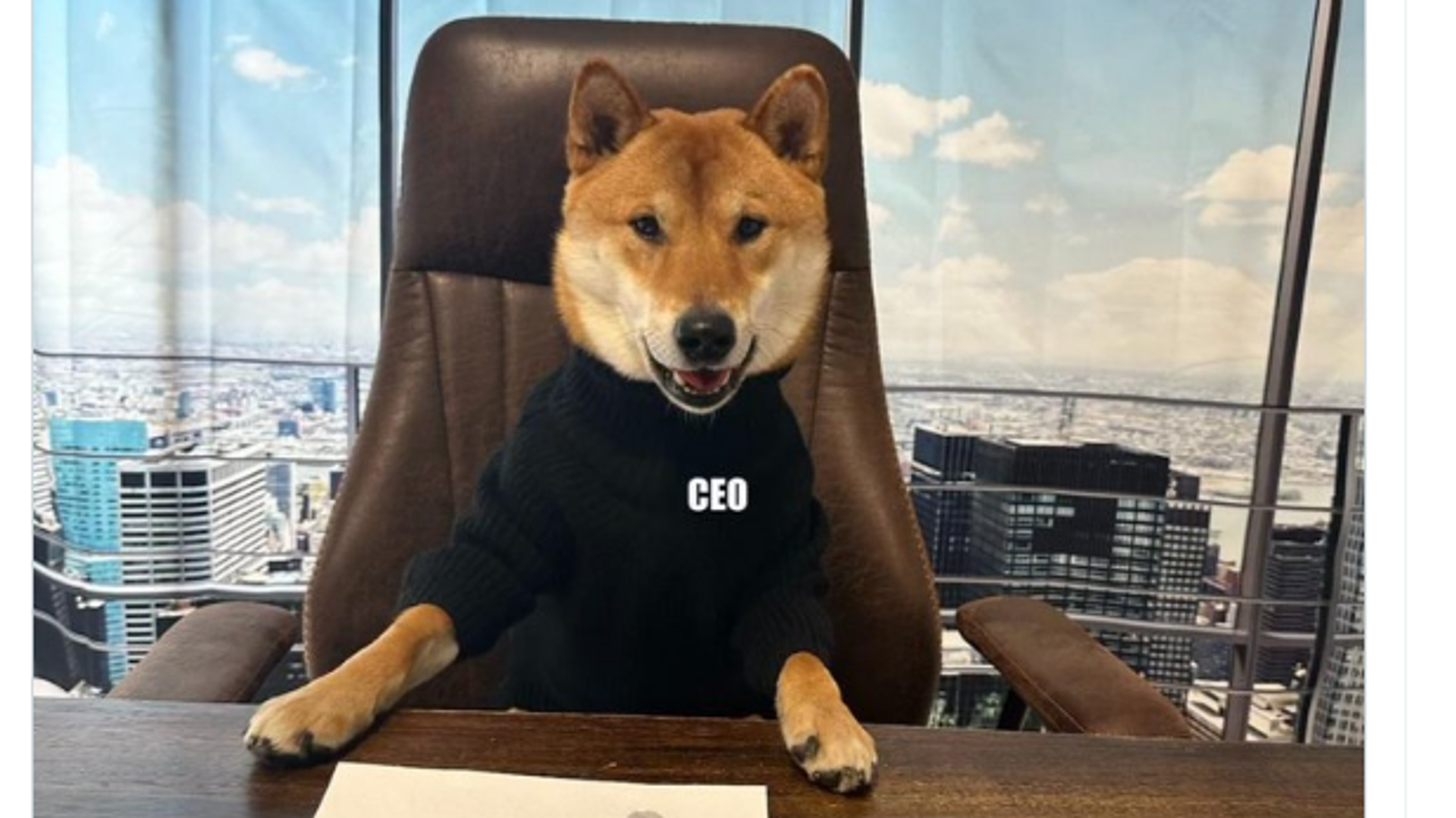 Twitter account of Elon Musk showing photo of his dog, Floki, a Shiba Inu. Twitter account of Elon Musk showing photo of his dog, Floki, a Shiba Inu. - Sputnik International, 1920, 15.02.2023