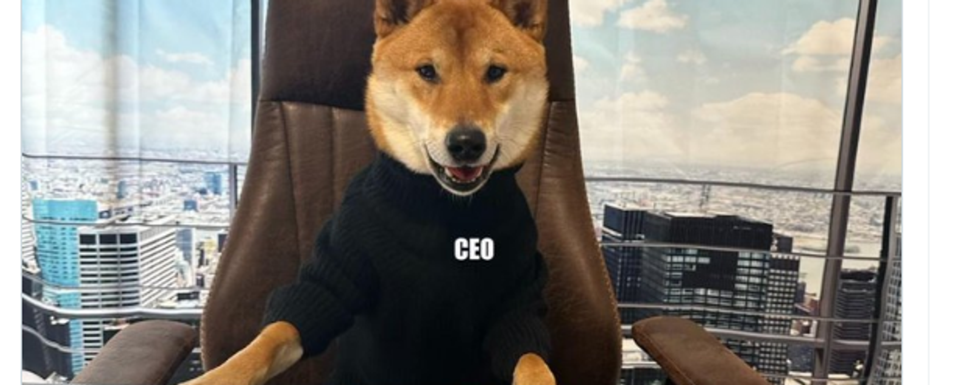 Twitter account of Elon Musk showing photo of his dog, Floki, a Shiba Inu. - Sputnik International, 1920, 15.02.2023