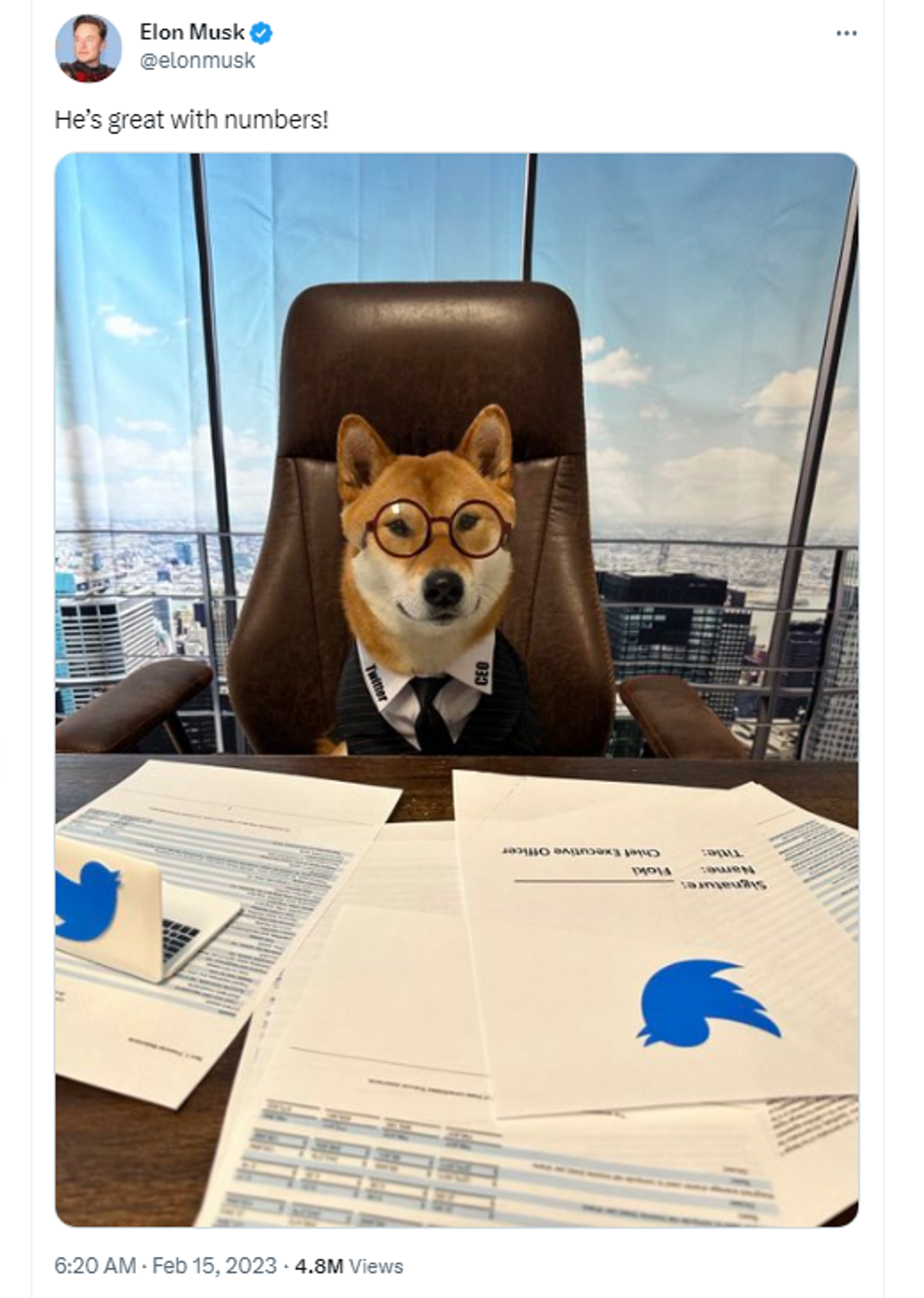 Twitter account of Elon Musk showing photo of his dog, Floki, a Shiba Inu. Twitter account of Elon Musk showing photo of his dog, Floki, a Shiba Inu. - Sputnik International, 1920, 15.02.2023