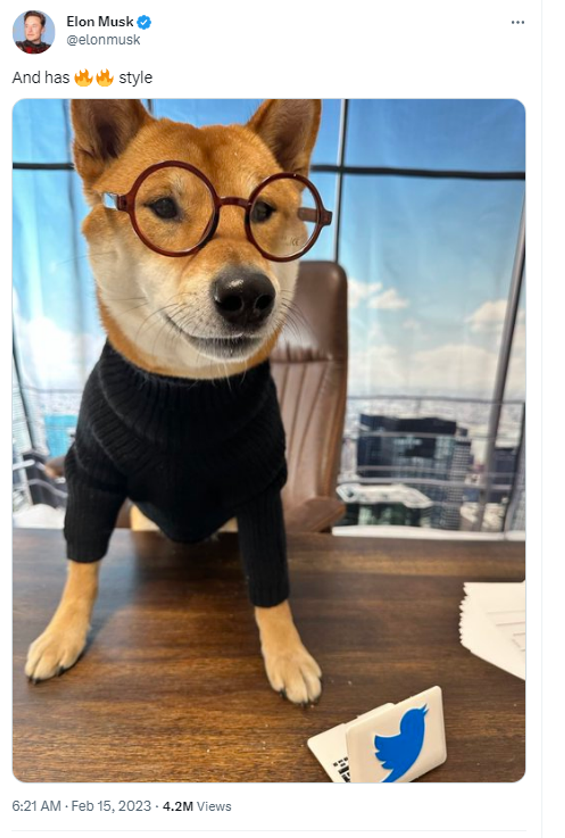 Twitter account of Elon Musk showing photo of his dog, Floki, a Shiba Inu. Twitter account of Elon Musk showing photo of his dog, Floki, a Shiba Inu. - Sputnik International, 1920, 15.02.2023