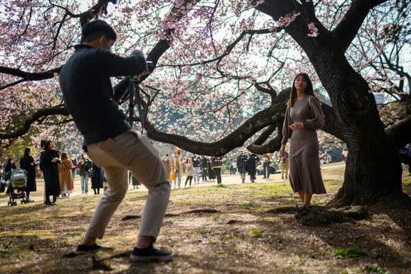 Shinjuku Gyoen Park in Tokyo is one of most popular places for hanami in Japan. (Photo by Yuichi YAMAZAKI / AFP) - Sputnik International