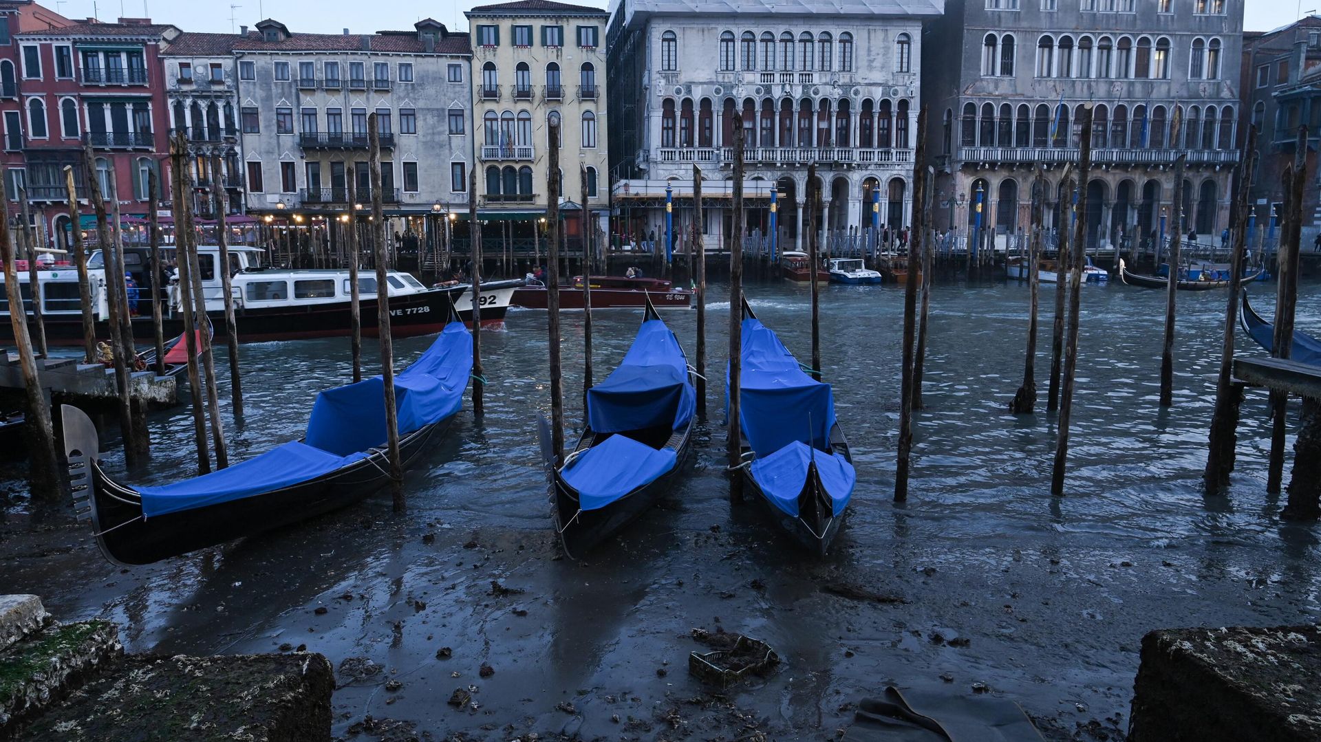 This photograph taken on February 20, 2023, shows gondolas tied up in Venice Canal Grande, during a severe low tide in the lagoon city of Venice. This photograph taken on February 20, 2023, shows gondolas tied up in Venice Canal Grande, during a severe low tide in the lagoon city of Venice. - Sputnik International, 1920, 22.02.2023