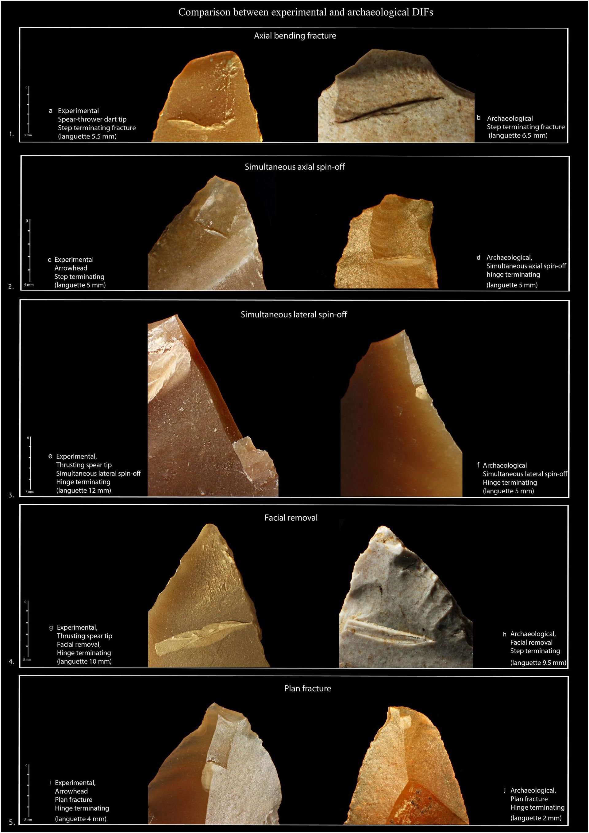 Comparison between experimental and archaeological diagnostic impact fractures. - Sputnik International, 1920, 24.02.2023