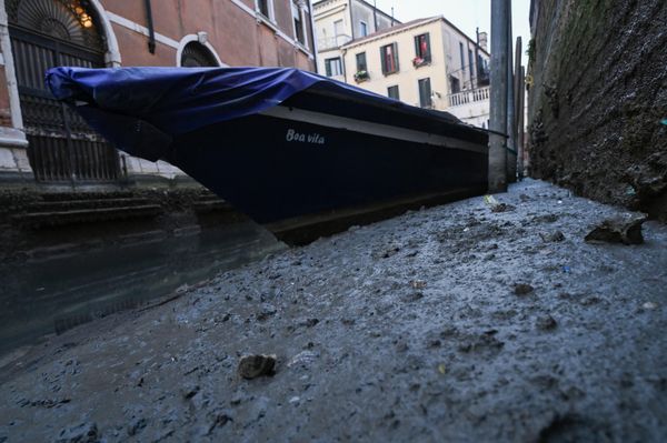 This photograph shows gondolas tied up in Venice Canal Grande, during a severe low tide in the lagoon city. - Sputnik International