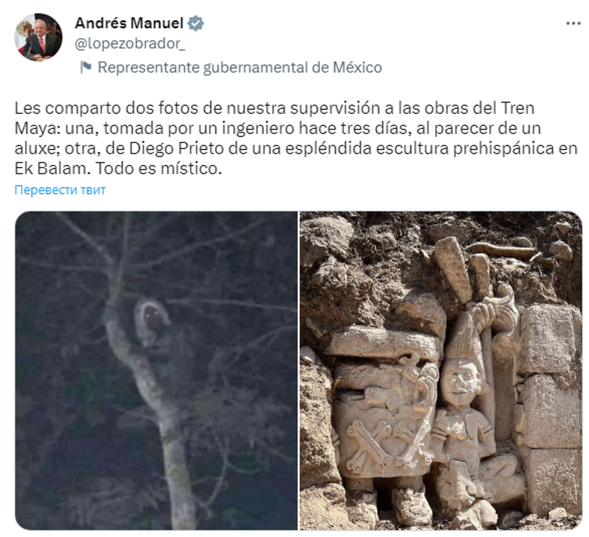 Screenshot of a tweet posted by Mexican President Andres Manuel Lopez Obrador - Sputnik International, 1920, 27.02.2023