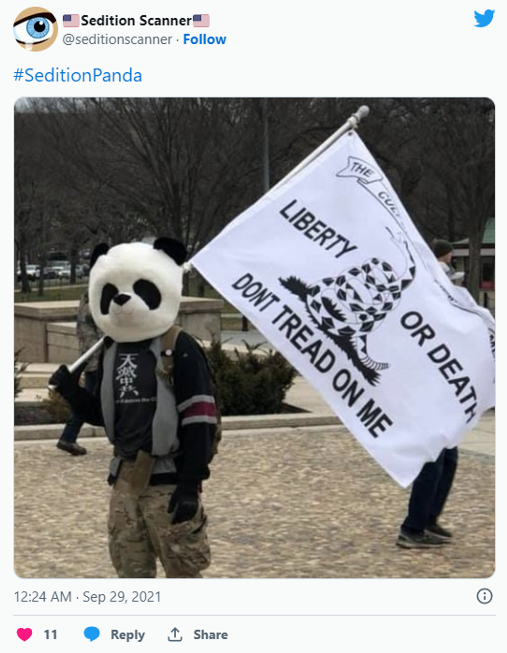 Sedition Panda - Sputnik International, 1920, 27.02.2023