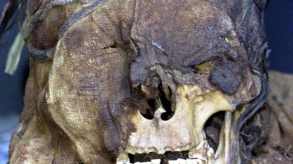 skull from a mummy was exhibited by peruvian archeologist Guillermo Cock in Lima. - Sputnik International