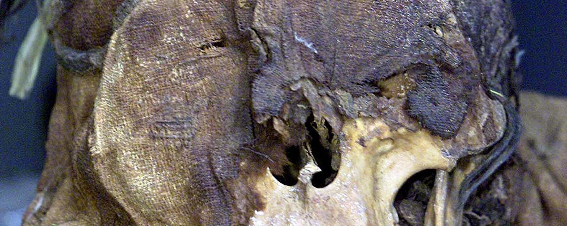 skull from a mummy was exhibited by peruvian archeologist Guillermo Cock in Lima. - Sputnik International, 1920, 01.03.2023
