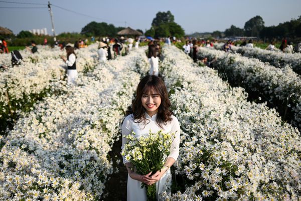 Woman amidst winter daisies at a botanical garden along the Red River in Hanoi, Vietnam. - Sputnik International