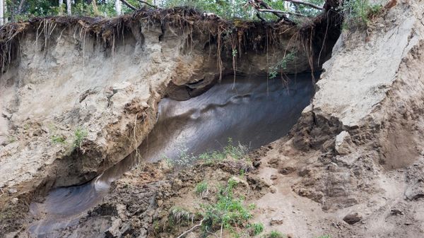 Birch Creek permafrost Birch Creek permafrost - Sputnik International
