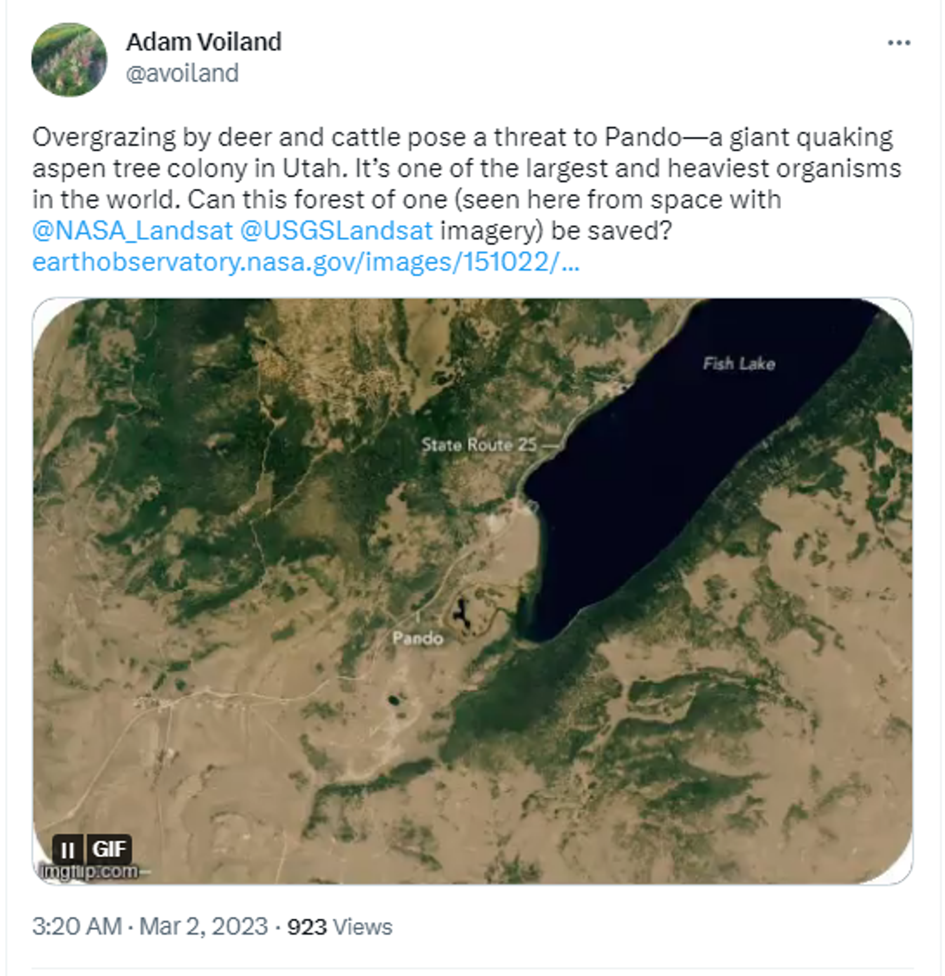 Twitter screenshot. - Sputnik International, 1920, 11.03.2023
