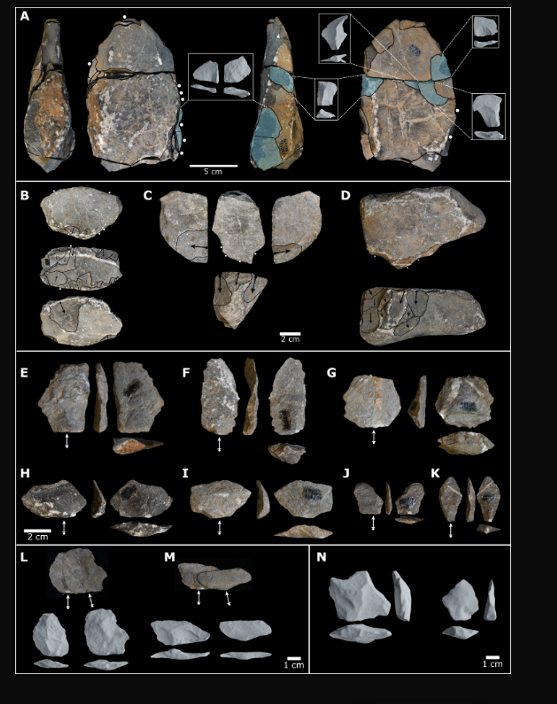 Examples of limestone flakes and flaked pieces produced unintentionally during long-tailed macaque nut cracking. - Sputnik International, 1920, 11.03.2023