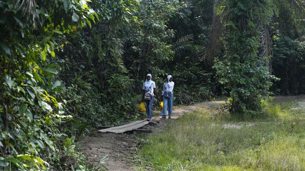 Two women visit the Lufasi Park lake Nora in Lagos, Nigeria, Sunday, Aug. 21, 2022, where some new trees are being planted.  - Sputnik International