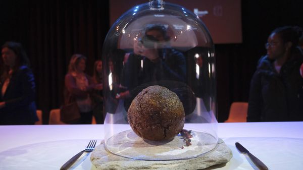 A meatball made using genetic code from a mammoth is seen at the Nemo science museum in Amsterdam, Tuesday March 28, 2023. - Sputnik International