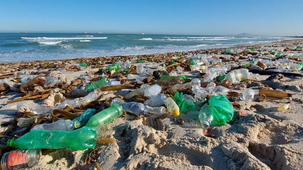 An ocean shore in South Africa littered with garbage, including plastic bottles and cans - Sputnik International