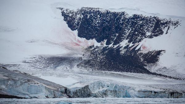 The view shows an island of Franz Josef Land archipelago, in Arctic region, Russia. Franz Josef Land is a Russian archipelago located in the Arctic Ocean and constituting the northernmost part of Arkhangelsk Oblast. - Sputnik International
