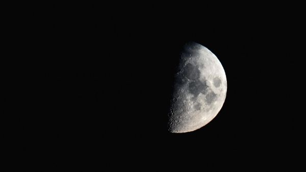 View of the moon - Sputnik International
