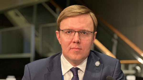 World Bank Group Executive Director for Russia and Syria Roman Marshavin - Sputnik International