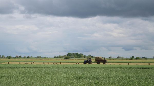 Farmers work on a field in Kherson region. - Sputnik International