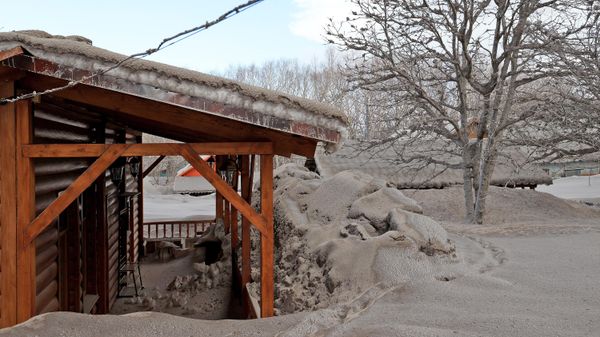 A roof, trees and snowdrifts covered with ashes from the erupting volcano Shiveluch are seen in the Kamchatka Peninsula, Russia.  - Sputnik International