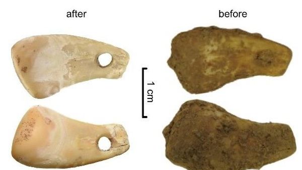 An image of ancient Paleolithic pendant - Sputnik International