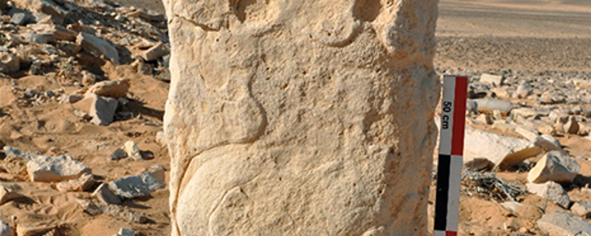 Photograph of the engraved stone at the time of discovery at the JKSH F15 site (the monolith was found lying down and was set vertically for the photograph). - Sputnik International, 1920, 18.05.2023