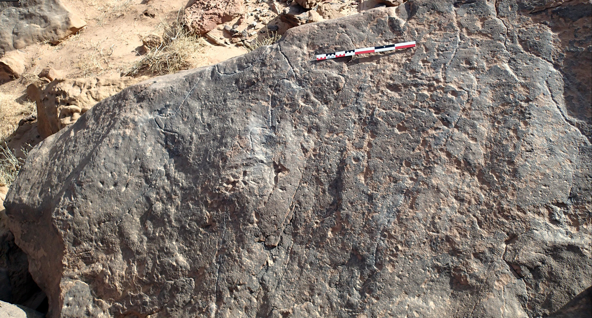 The engraved boulder as discovered during rock art survey, view from the north. - Sputnik International, 1920, 17.05.2023