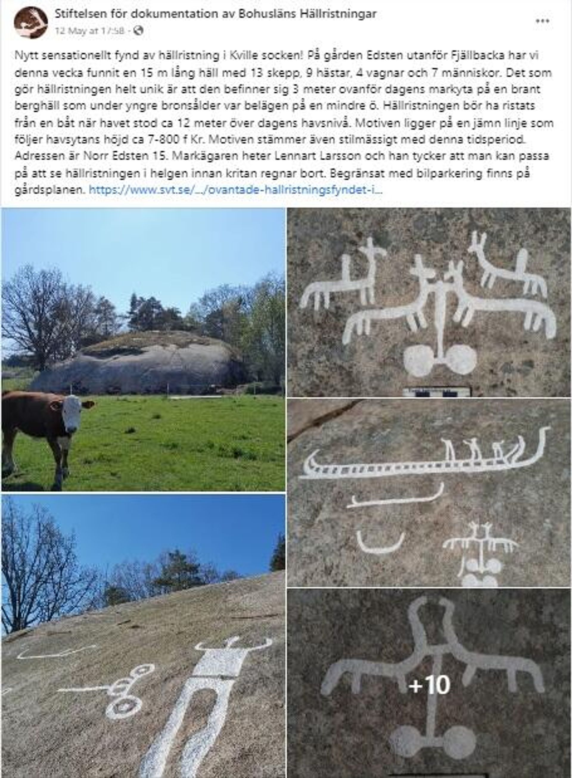 Screenshot of stone carvings in Bohuslan, Sweden - Sputnik International, 1920, 22.05.2023