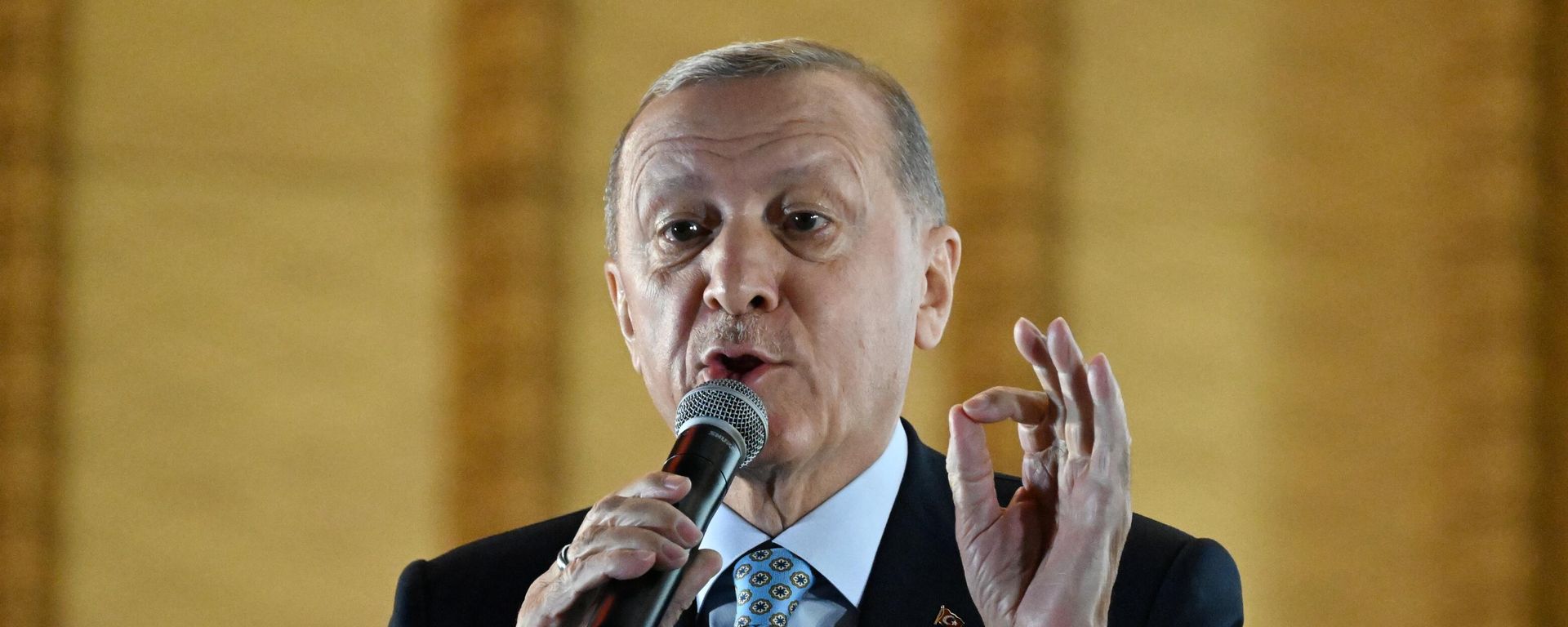 Recep Tayyip Erdogan - Sputnik International, 1920, 10.11.2023