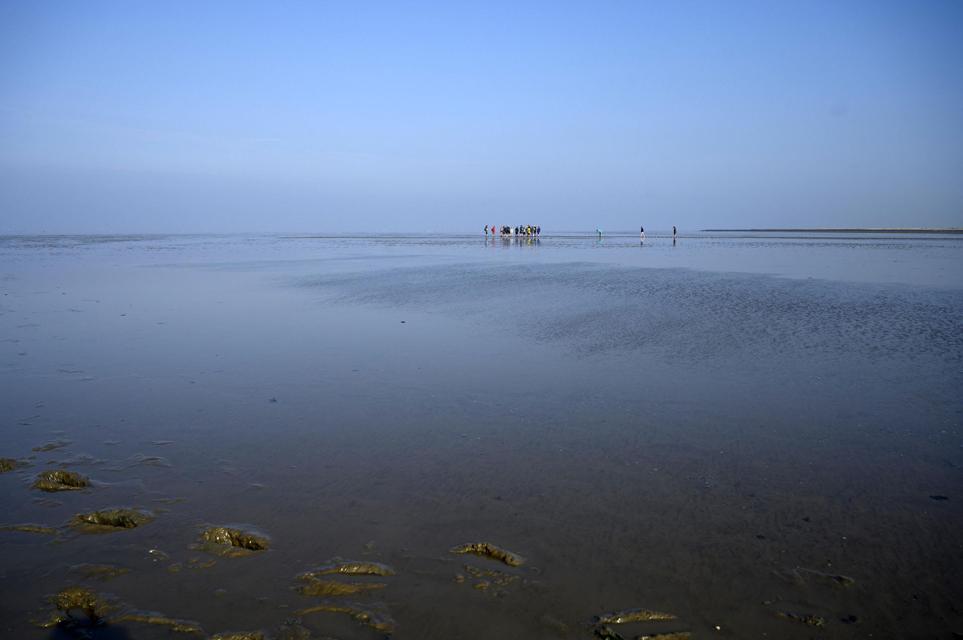 A group of walkers makes its way across the Wadden Sea. - Sputnik International, 1920, 06.06.2023
