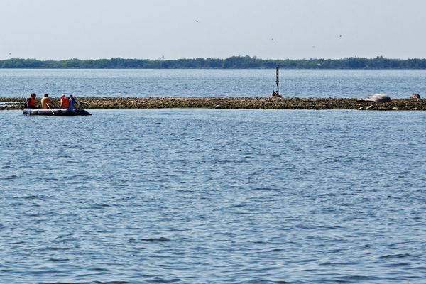 An island on the Rybinsk reservoir in the Yaroslavl region, where the city of Mologa was located, flooded during the construction of the Rybinsk reservoir. - Sputnik International