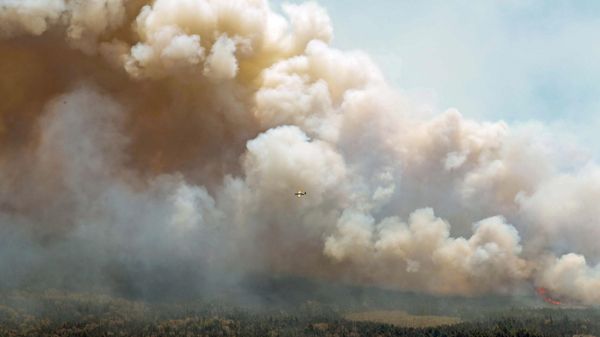 In this aerial image, an aircraft, center, flies near a wildfire burning near Barrington Lake in Shelburne County, Nova Scotia, on Wednesday, May 31, 2023. - Sputnik International