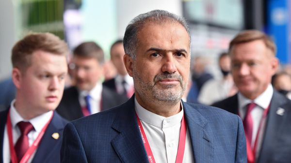 Kazem Jalali, Ambassador Extraordinary and Plenipotentiary of the Islamic Republic of Iran to the Russian Federation, at the 25th St. Petersburg International Economic Forum at the Expoforum convention and exhibition center. - Sputnik International