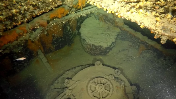 The closed hatches and retracted periscope on the wreck indicate the submarine was diving when it sank. - Sputnik International