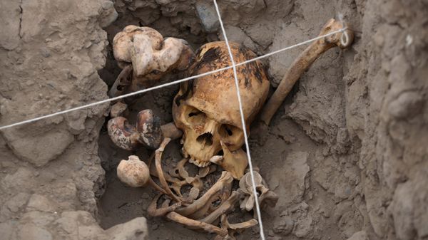 Peru Mummies - Sputnik International