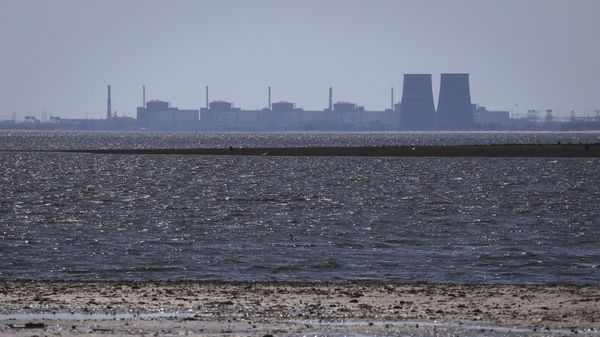 The Zaporozhye nuclear power plant is seen in the background of the shallow Kakhovka Reservoir after the dam collapse - Sputnik International