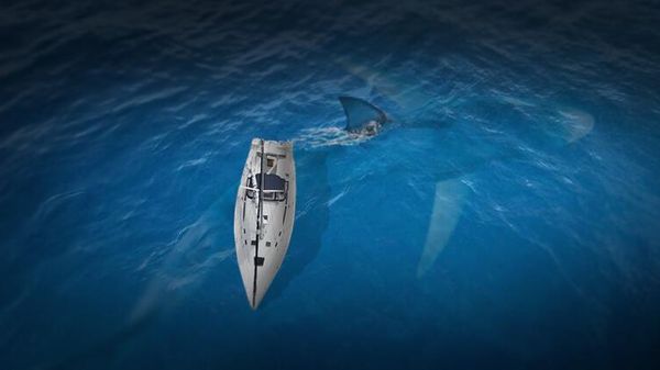 Megalodon - Sputnik International