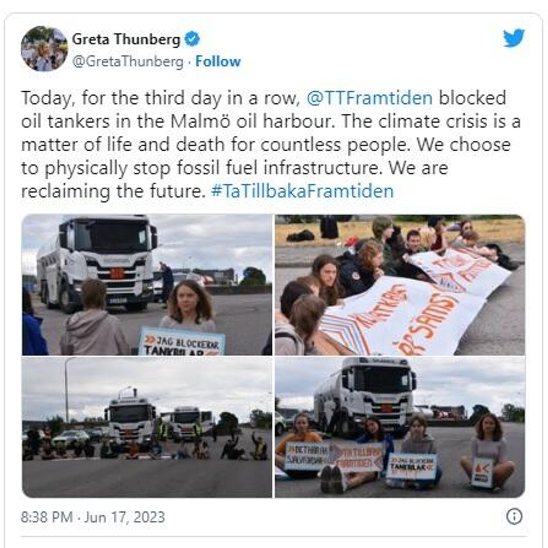 Screengrab of a tweet by Greta Thunberg - Sputnik International, 1920, 06.07.2023