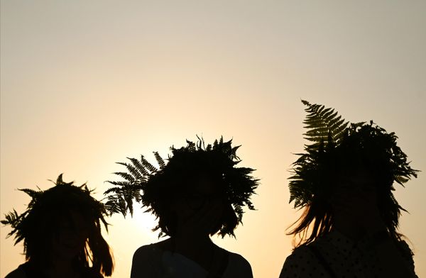 The main hero of the plant world on the night is the fern. The Slavs believed that it blooms only once a year, on Kupala Night (in fact, the fern has no flowers).Above: Participants of Kupala Night in the park in Zelenodolsk. - Sputnik International