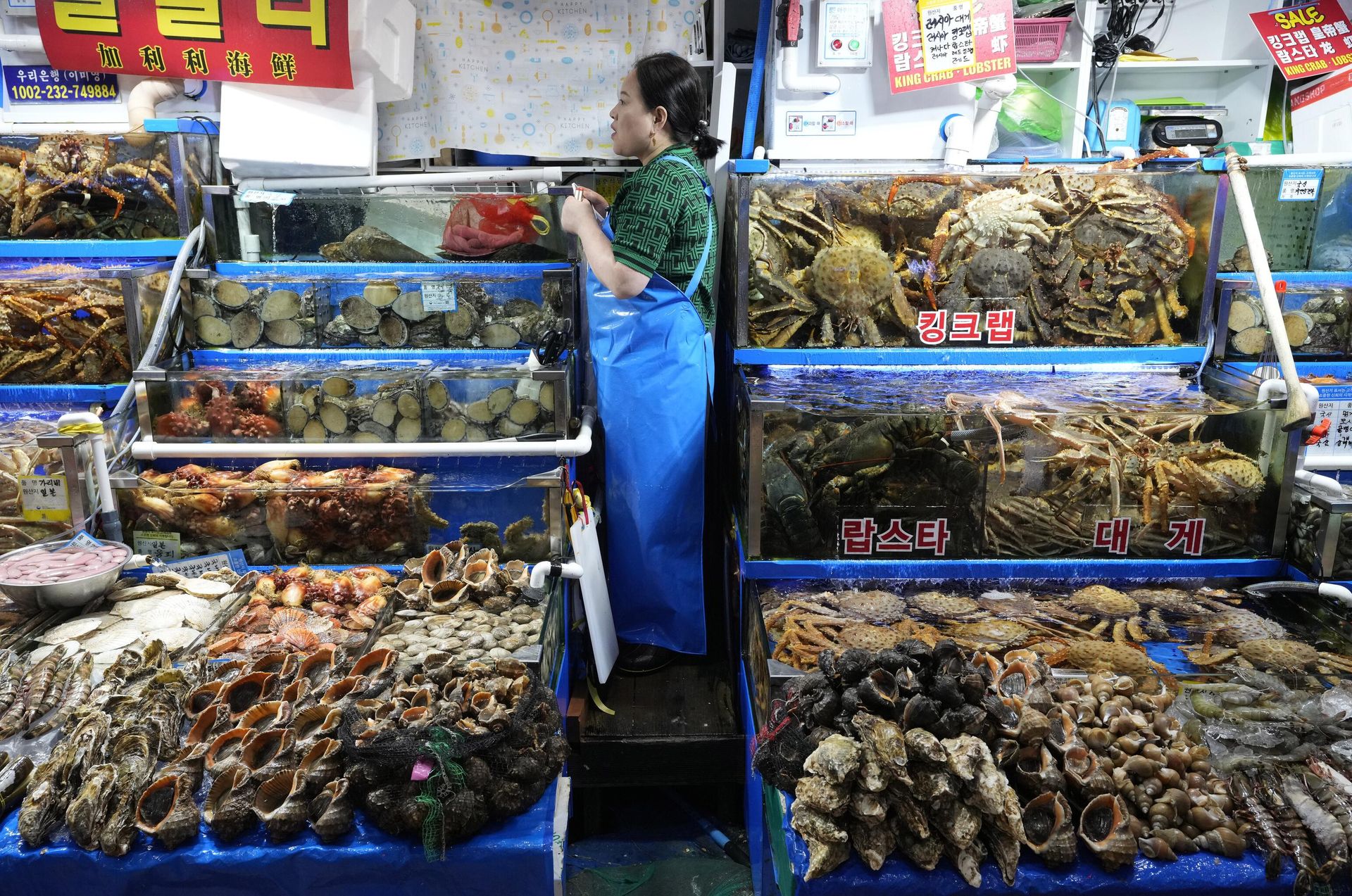 Noryangjin Fisheries Wholesale Market in Seoul, South Korea. - Sputnik International, 1920, 10.07.2023